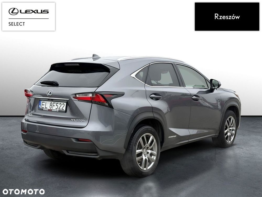 Lexus Nx 2017 photo 5