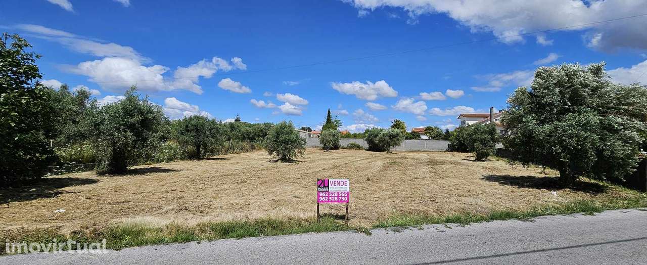 Terreno para Construção - T3019/24 - Grande imagem: 2/5