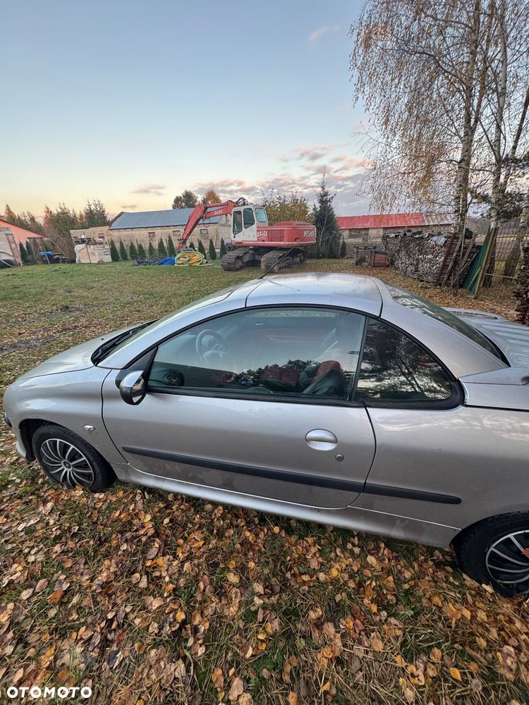 Peugeot 206 - 6