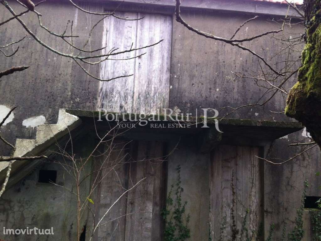 Quinta em socalcos com casebre - Grande imagem: 5/12