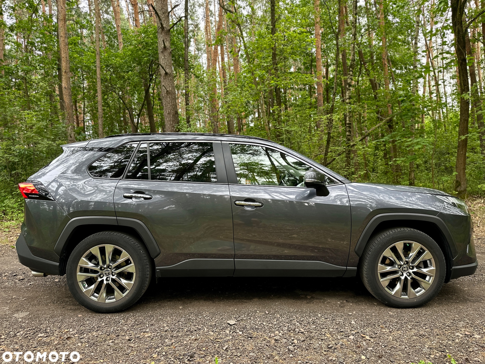 Toyota RAV4 2.5 Hybrid Executive 4x2 - 5