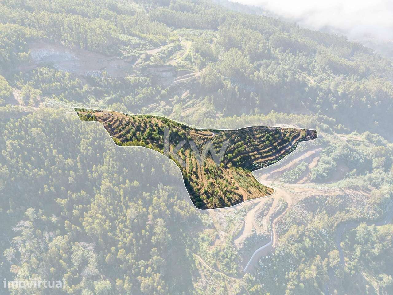 LAND | 23.260 M2| JARDIM DA SERRA | CÂMARA DE LOBOS | ILHA DA MADEIRA - Grande imagem: 2/17