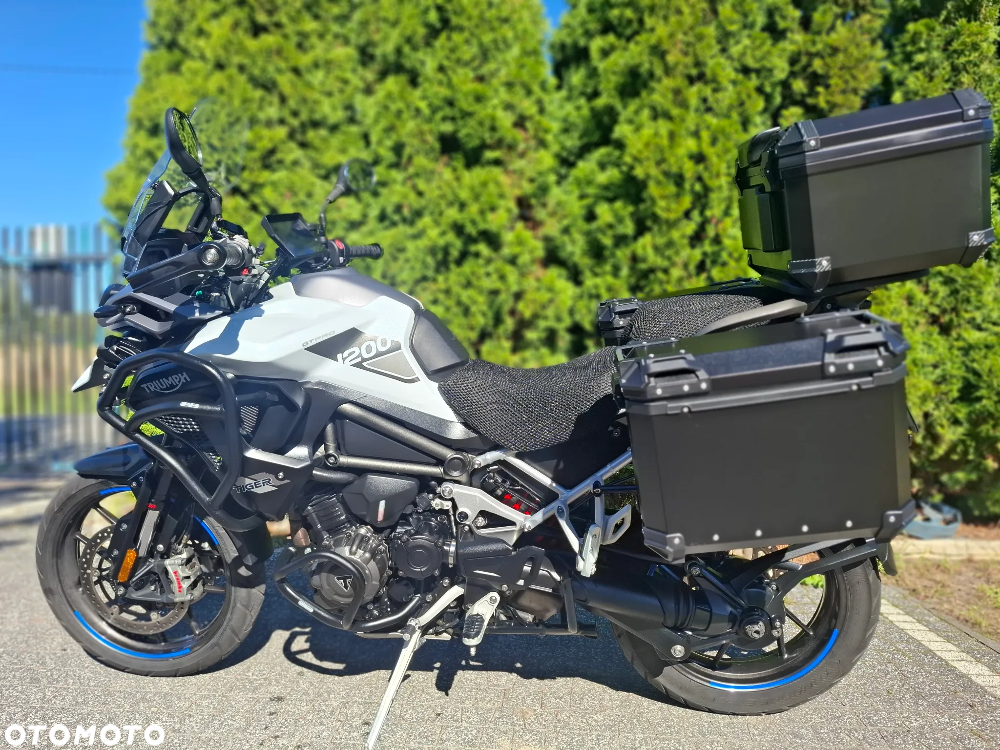 Triumph Tiger - 2