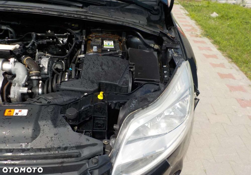 Ford Focus - 8