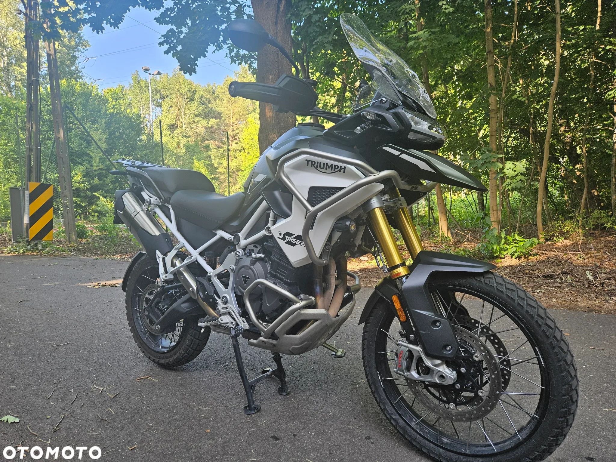 Triumph Tiger - 1