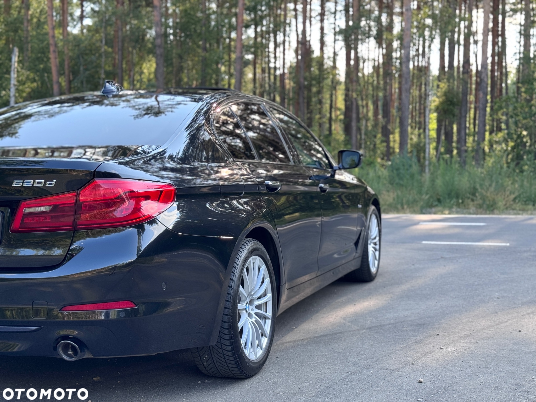 BMW Seria 5 520d Sport Line - 31