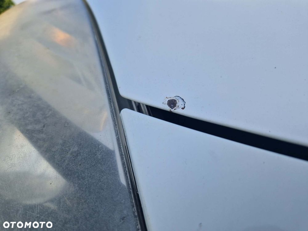 Renault Scenic - 8