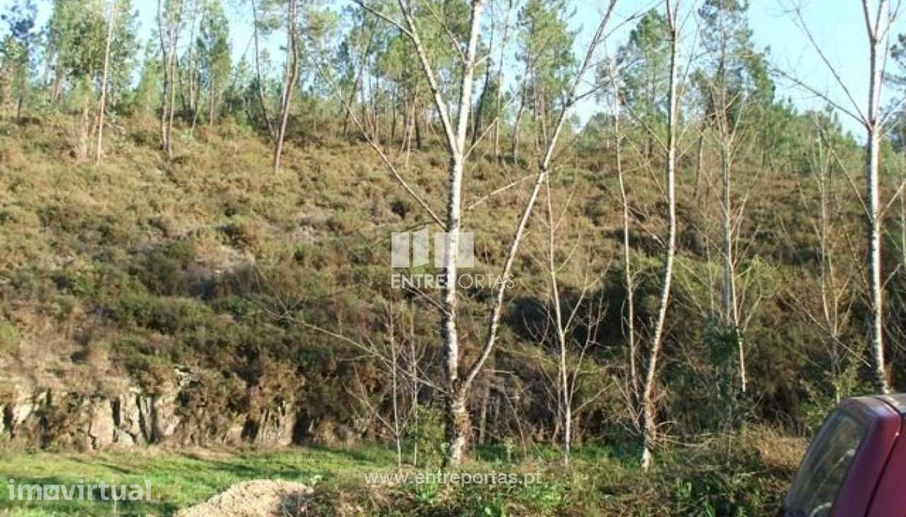 Venda lote de terreno, Paraíso, Castelo de Paiva - Grande imagem: 3/8