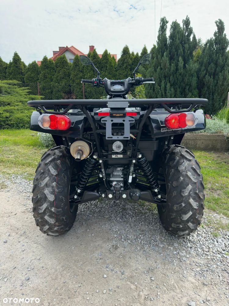 Kawasaki Brute Force - 5