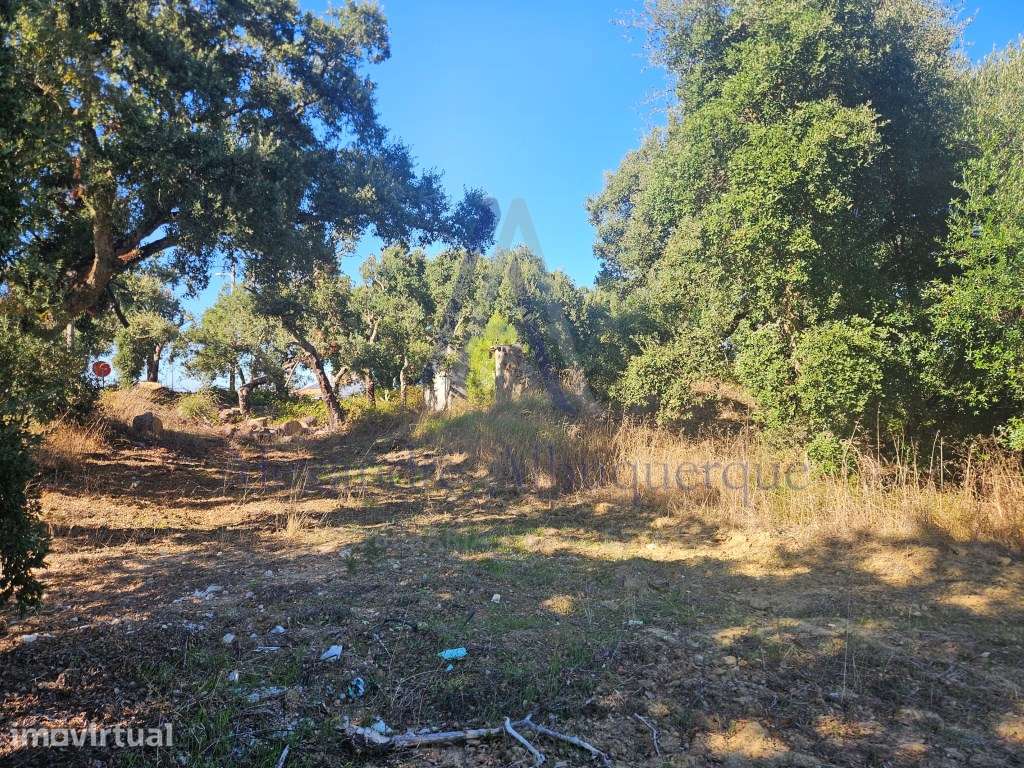 Oportunidade Única de Investimento: Terreno Premium em Sesimbra - Grande imagem: 3/16