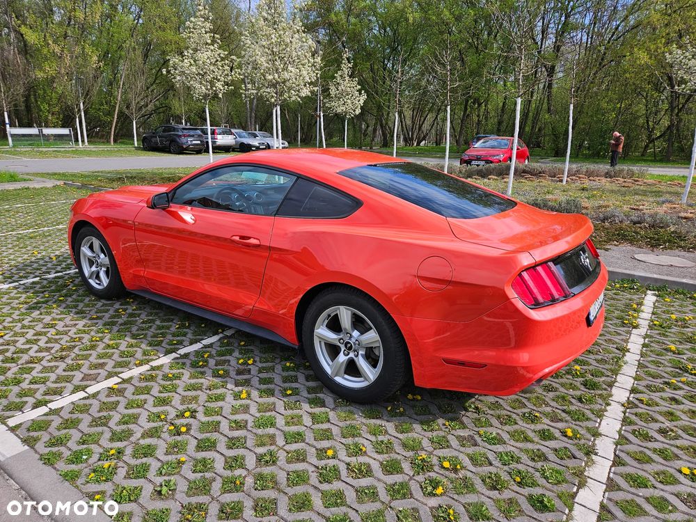 Ford Mustang 3.7 V6 - 5