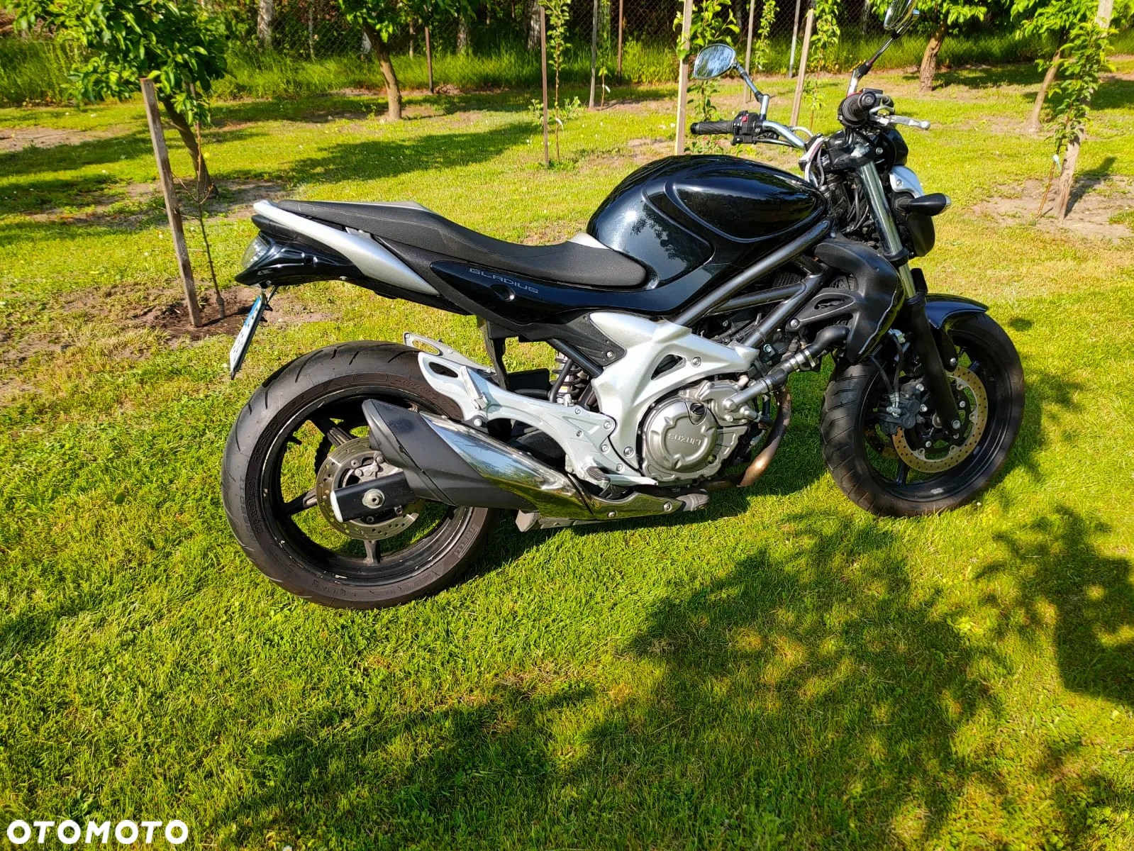 Suzuki Gladius - 3