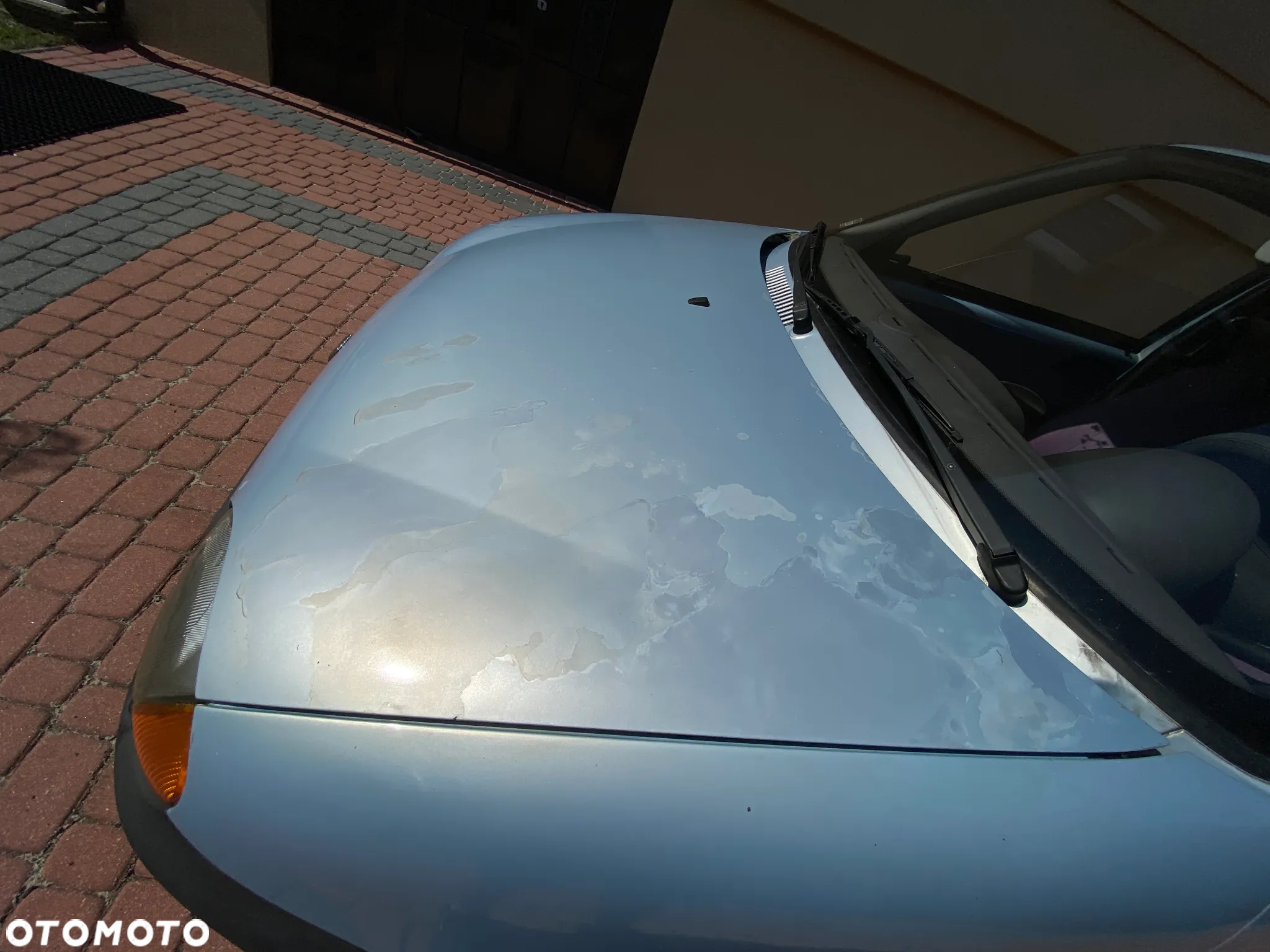 Fiat Seicento Young - 10
