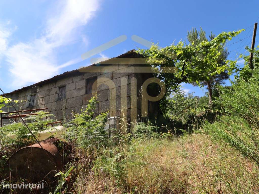 Terreno com 17.800 m², Casa para Reconstruir e mina de Água - Soalh... - Grande imagem: 4/29
