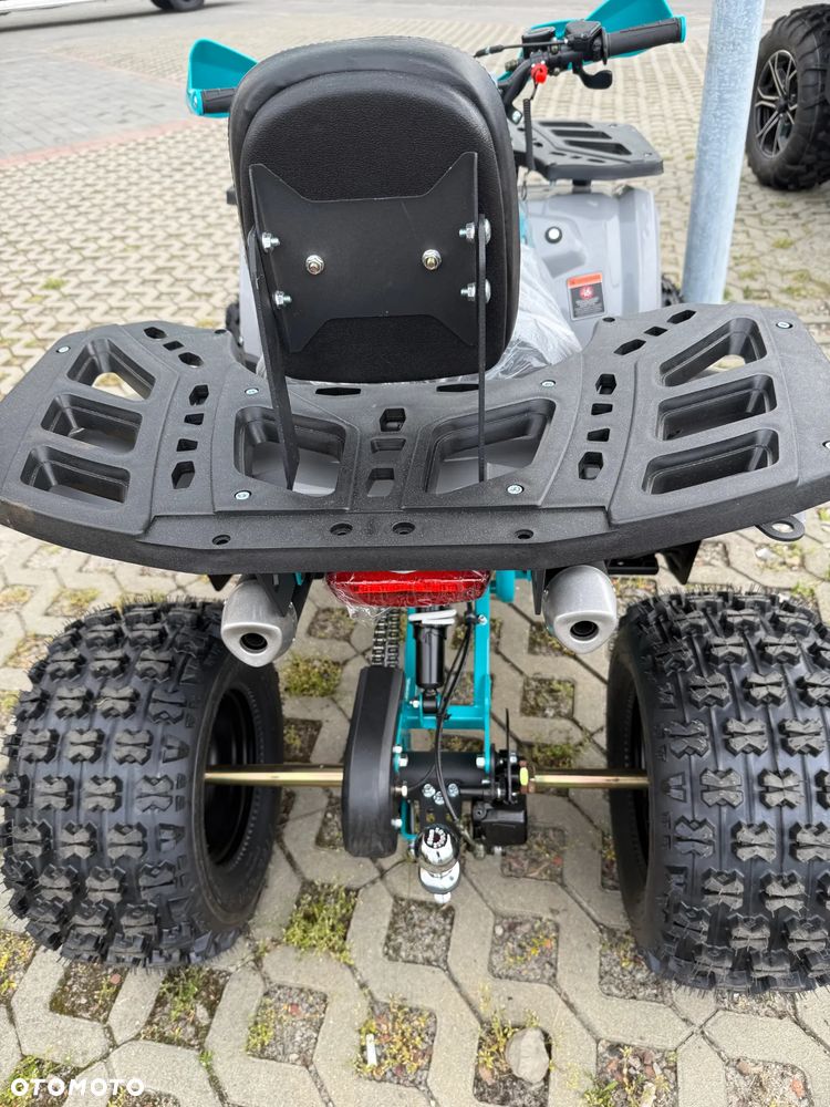 Barton Raptor - 4