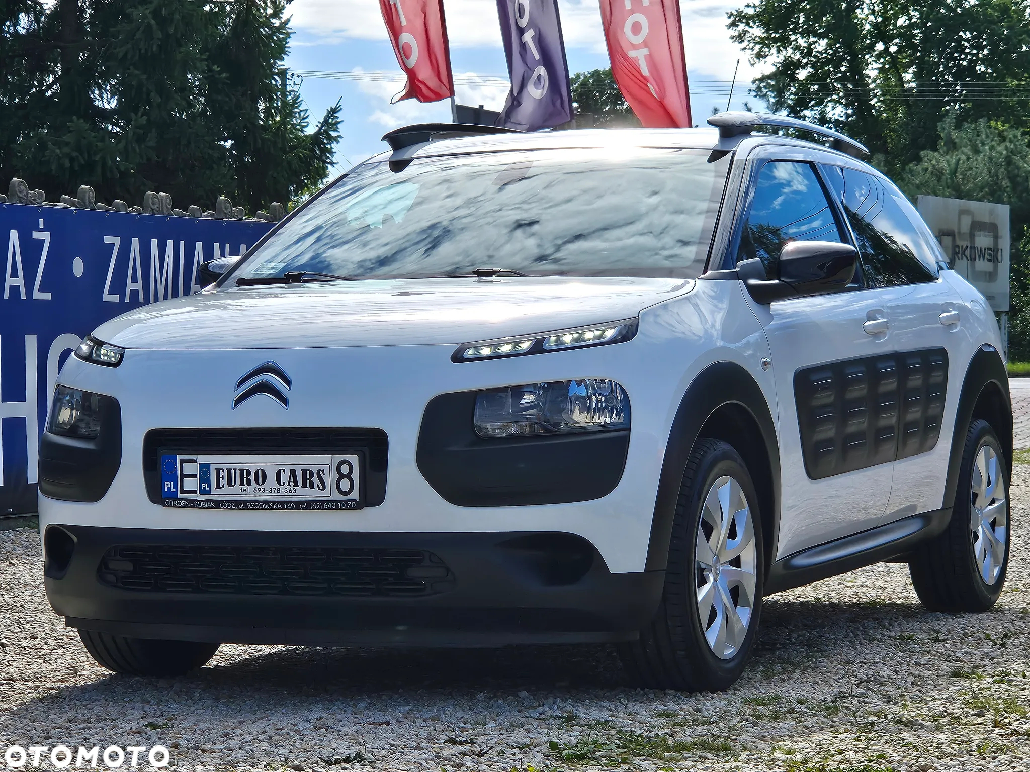 Citroën C4 Cactus 1.2 PureTech Shine EU6 - 4
