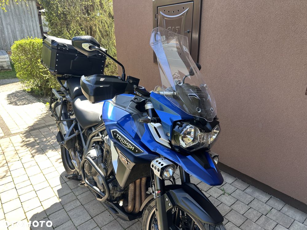 Triumph Tiger - 10