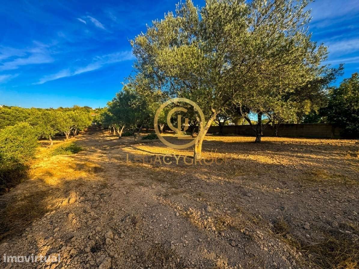 Terreno Agrícola Plano com Armazém, a 5 Minutos do Centro de Loulé - Grande imagem: 3/17