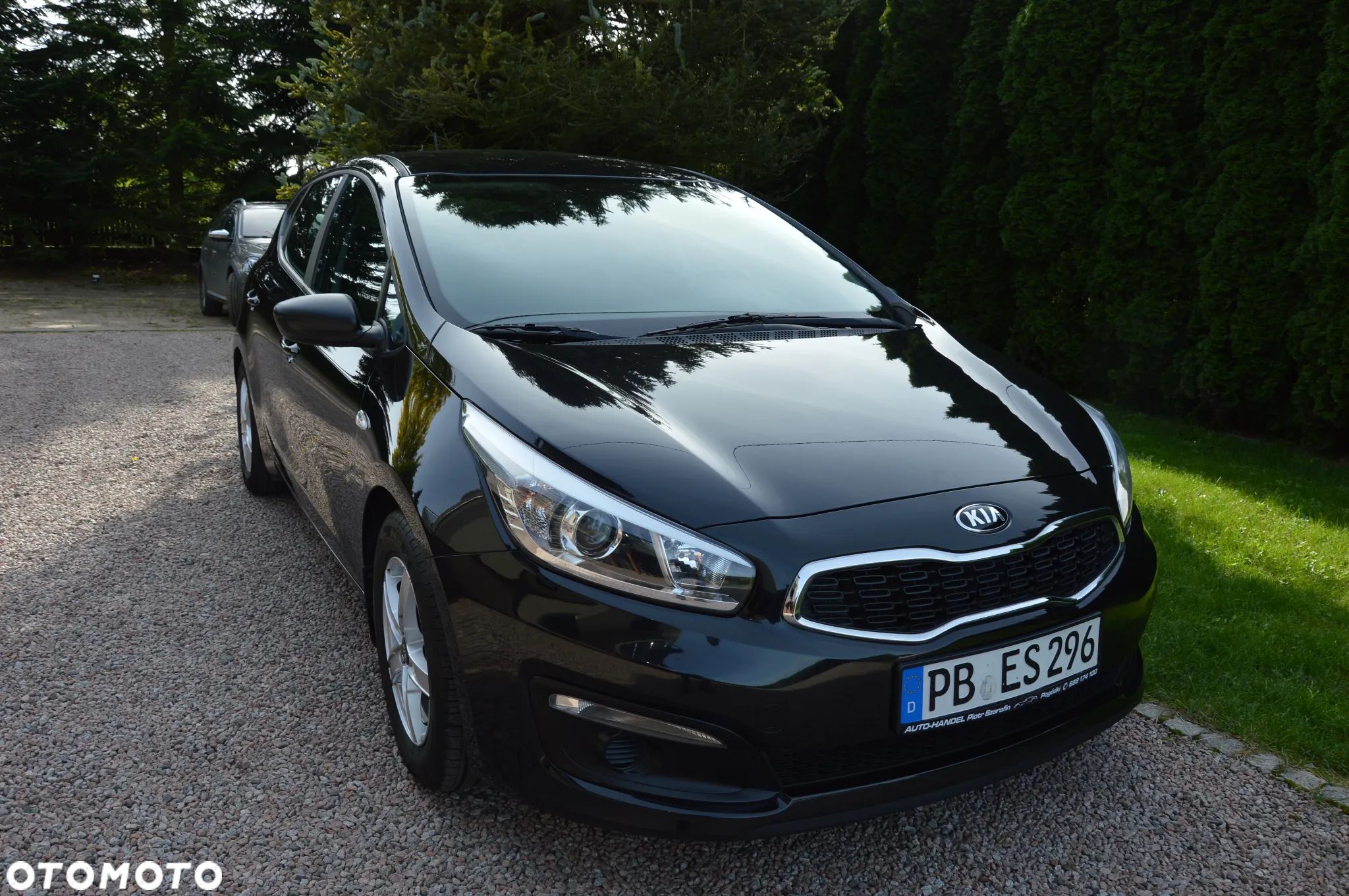 Kia Ceed - 1
