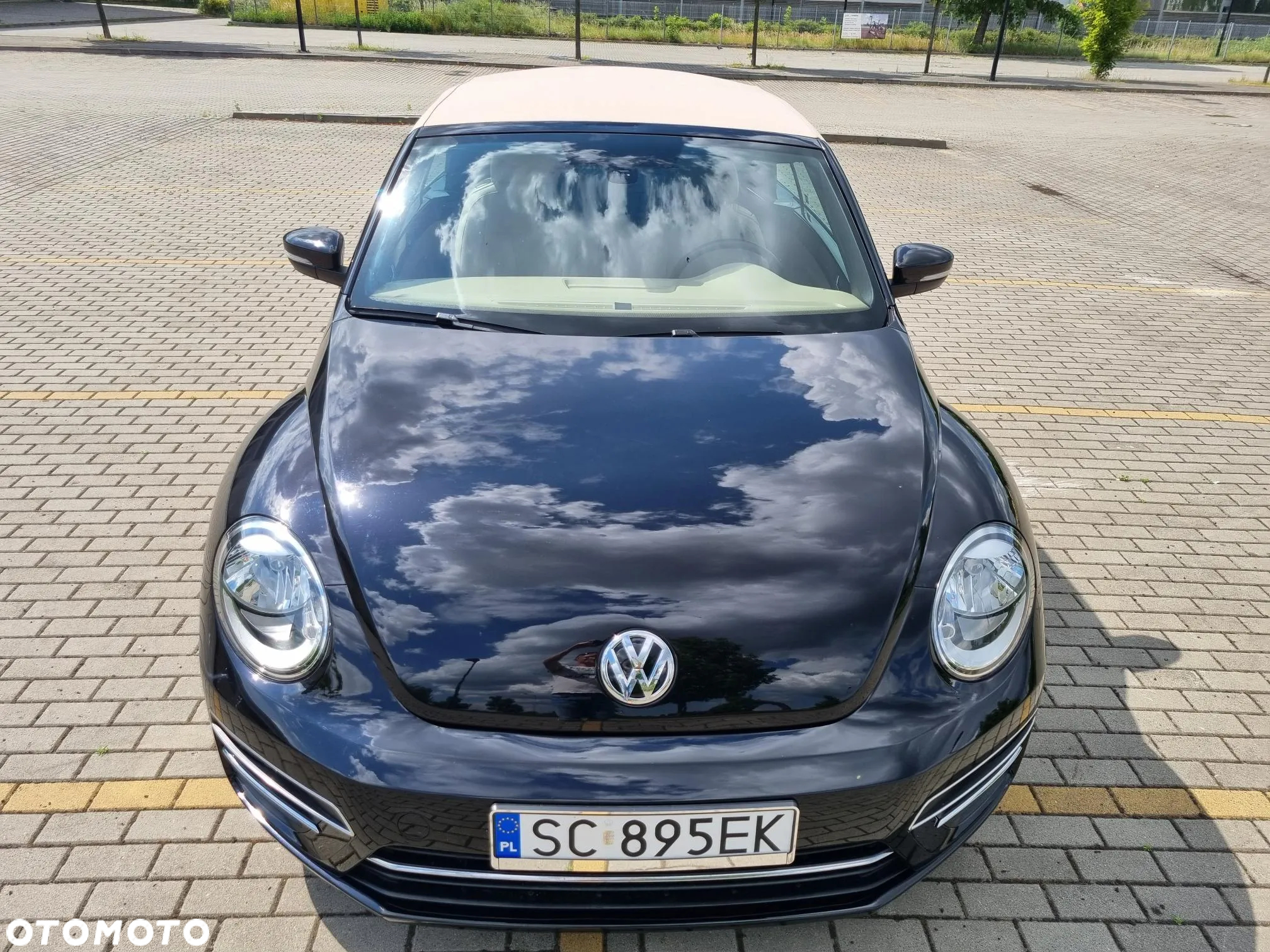 Volkswagen Beetle - 6