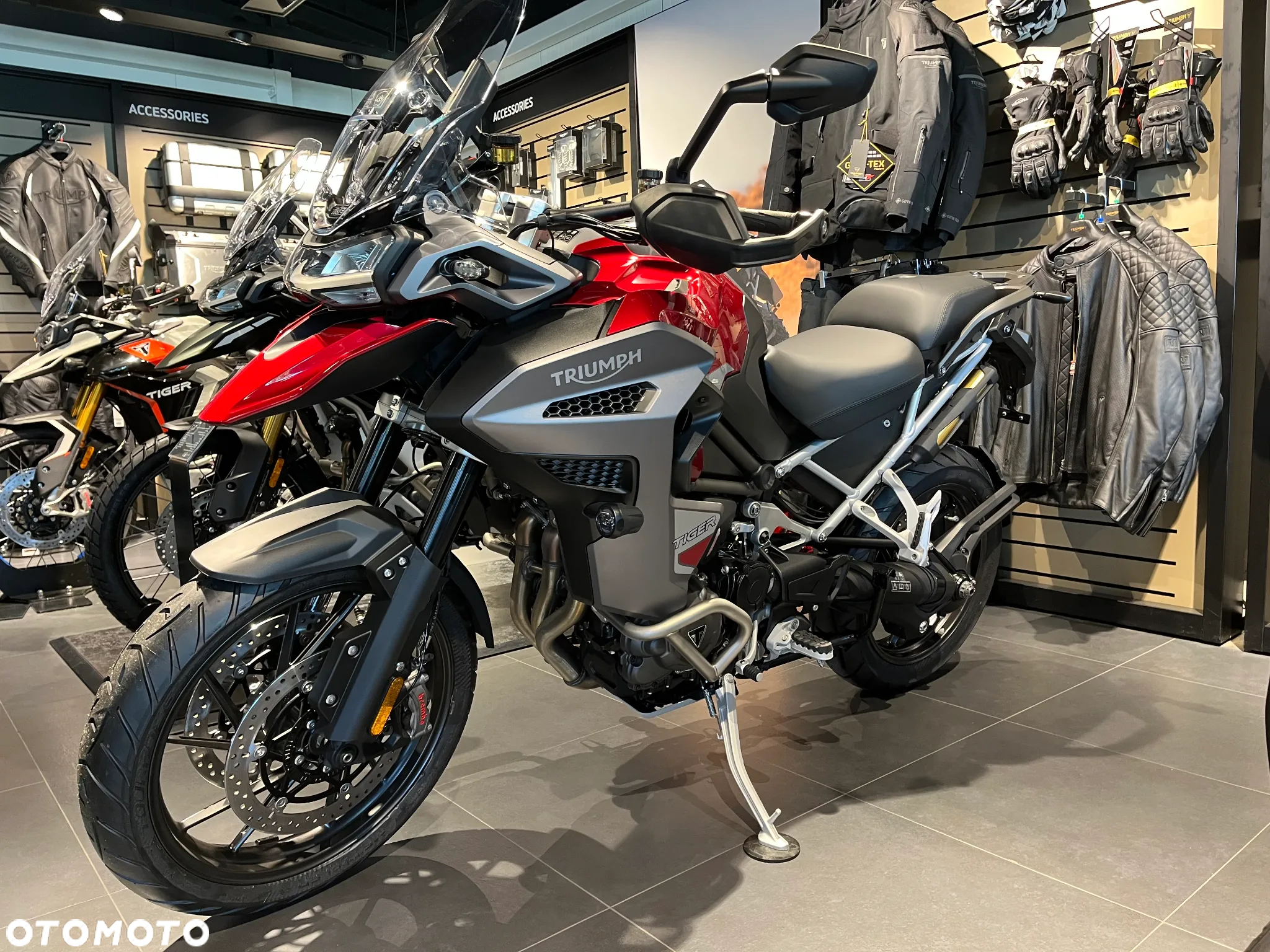 Triumph Tiger - 6