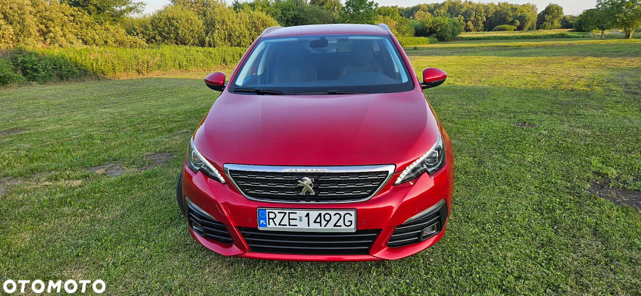 Peugeot 308 1.2 PureTech Allure S&S - 5