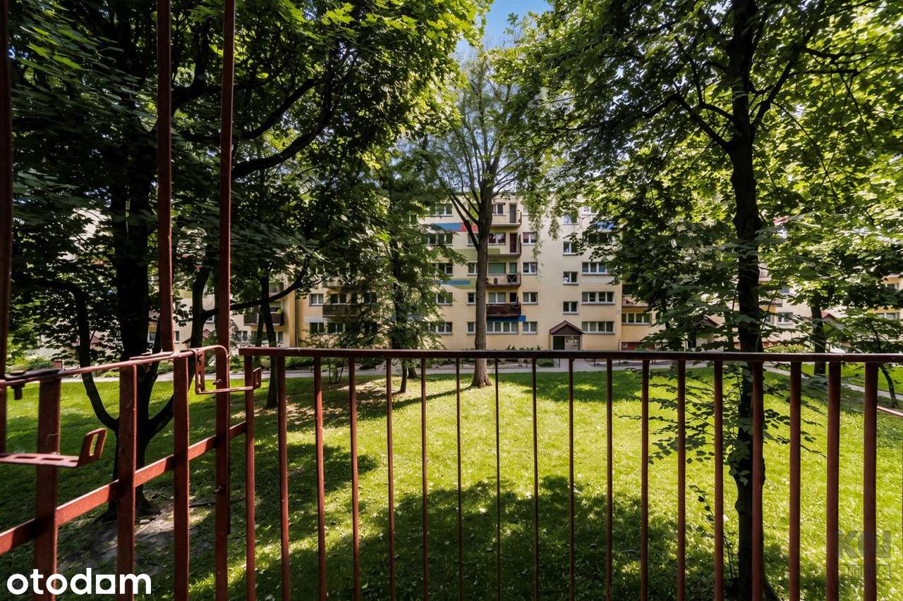 Przestronne mieszkanie blisko parku