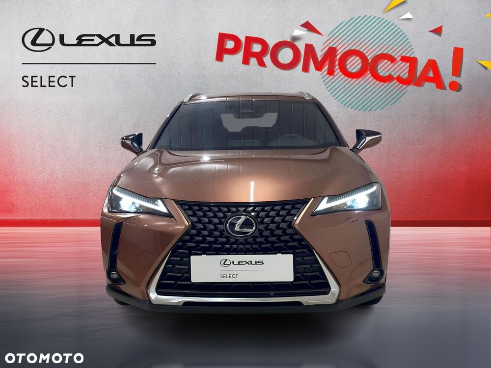 Lexus UX 300h Business - 5
