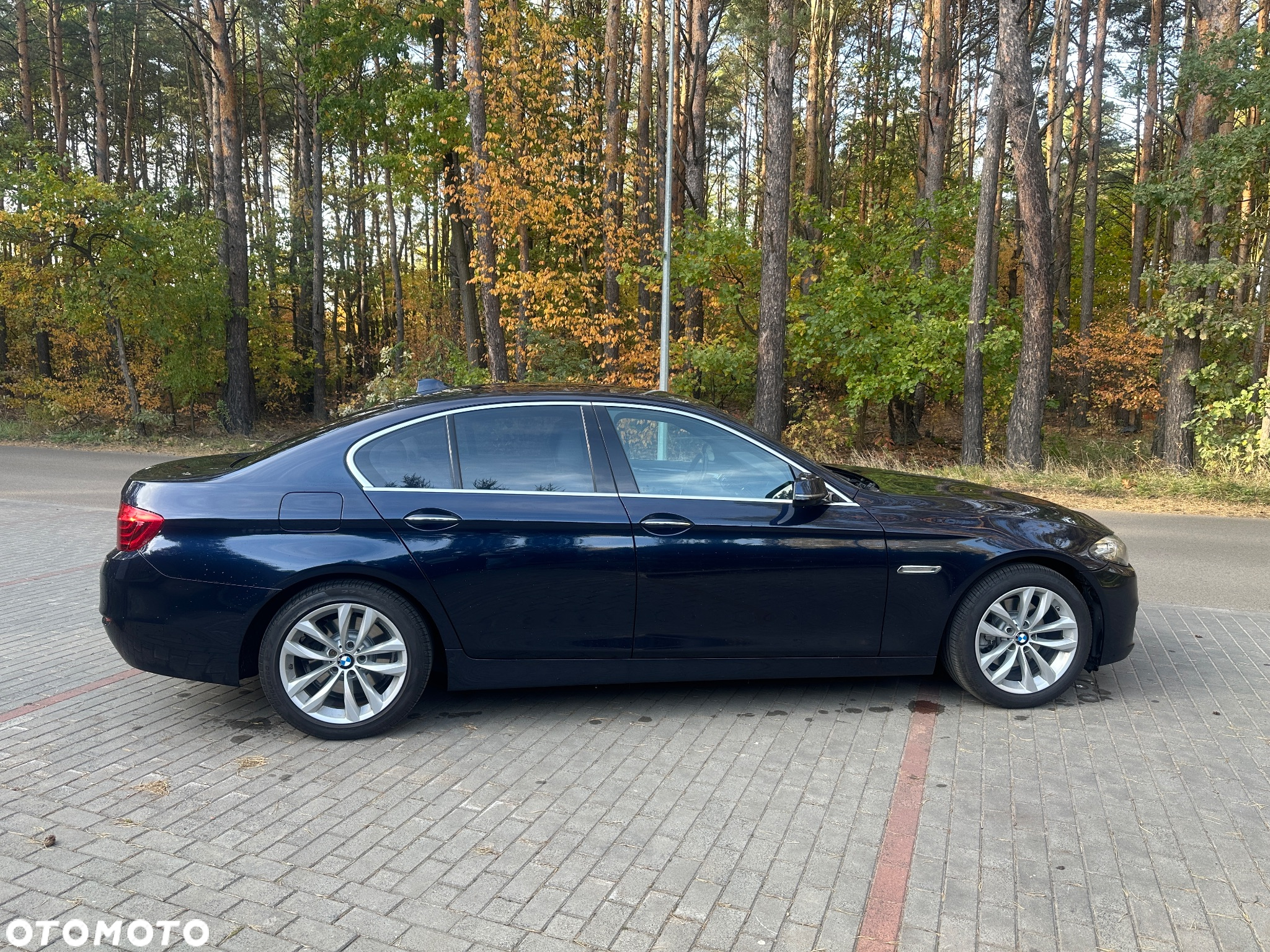 BMW Seria 5 520d xDrive - 7