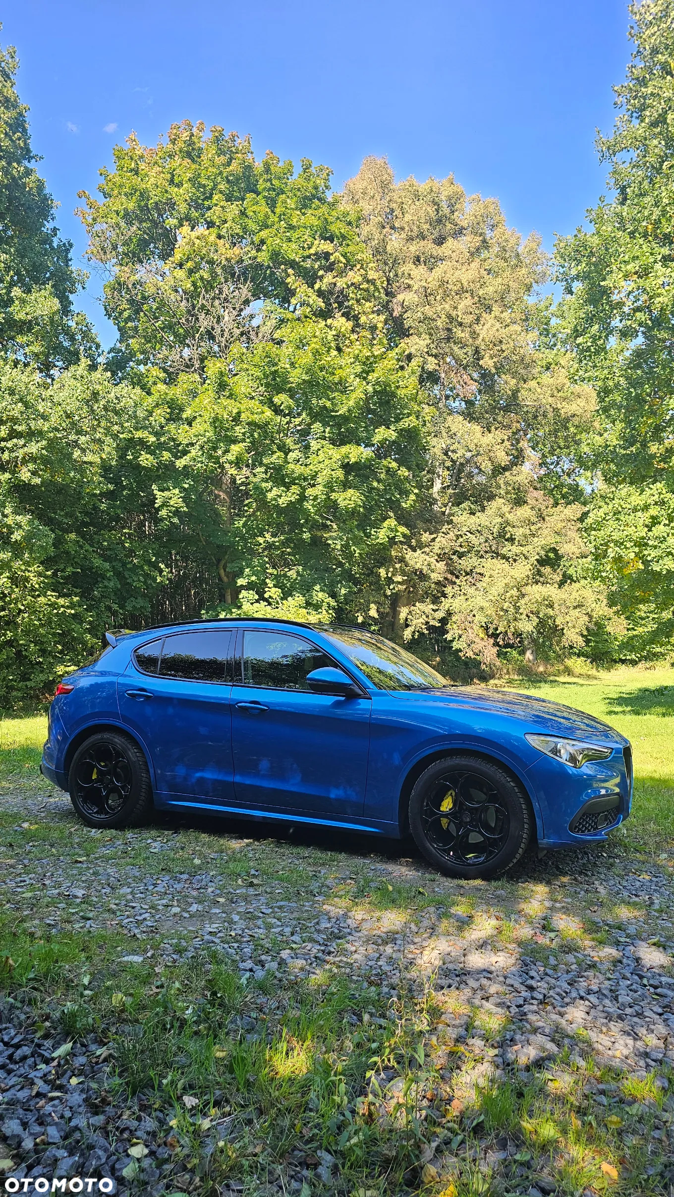 Alfa Romeo Stelvio - 11