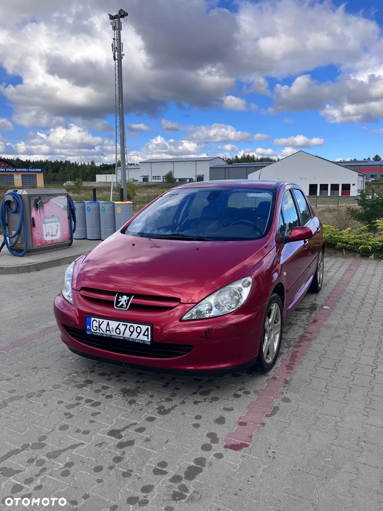 Peugeot 307 - 23
