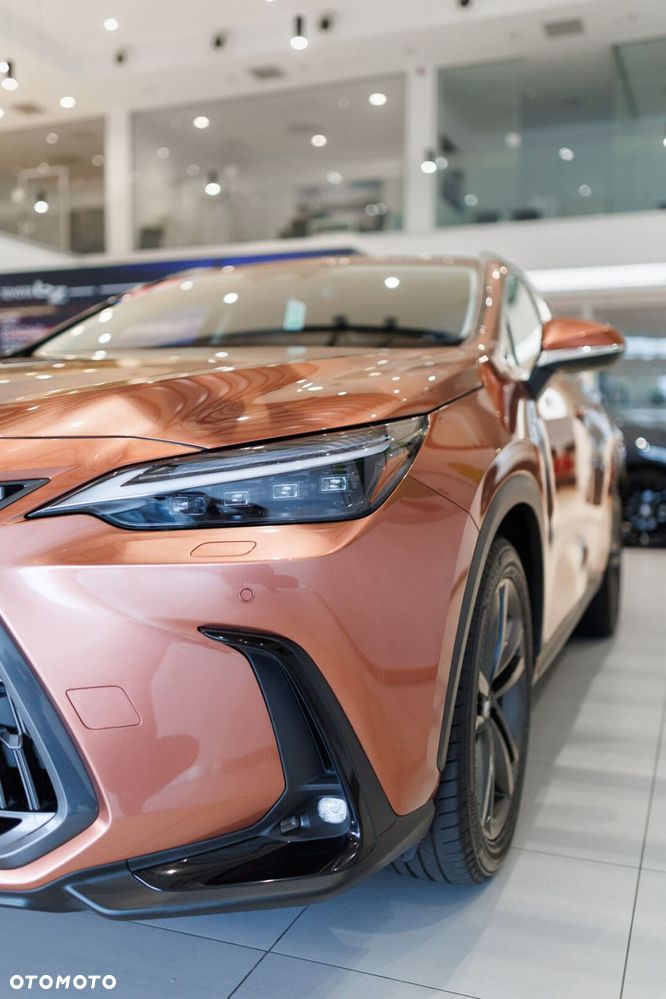 Lexus NX - 11