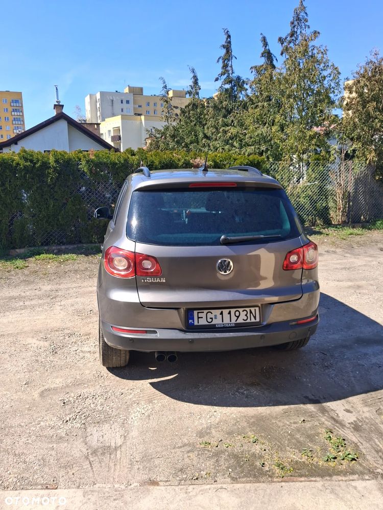 Volkswagen Tiguan - 13