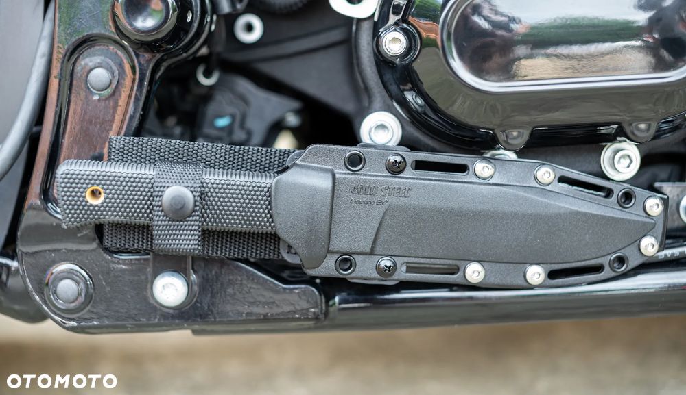 Harley-Davidson Softail Slim - 19