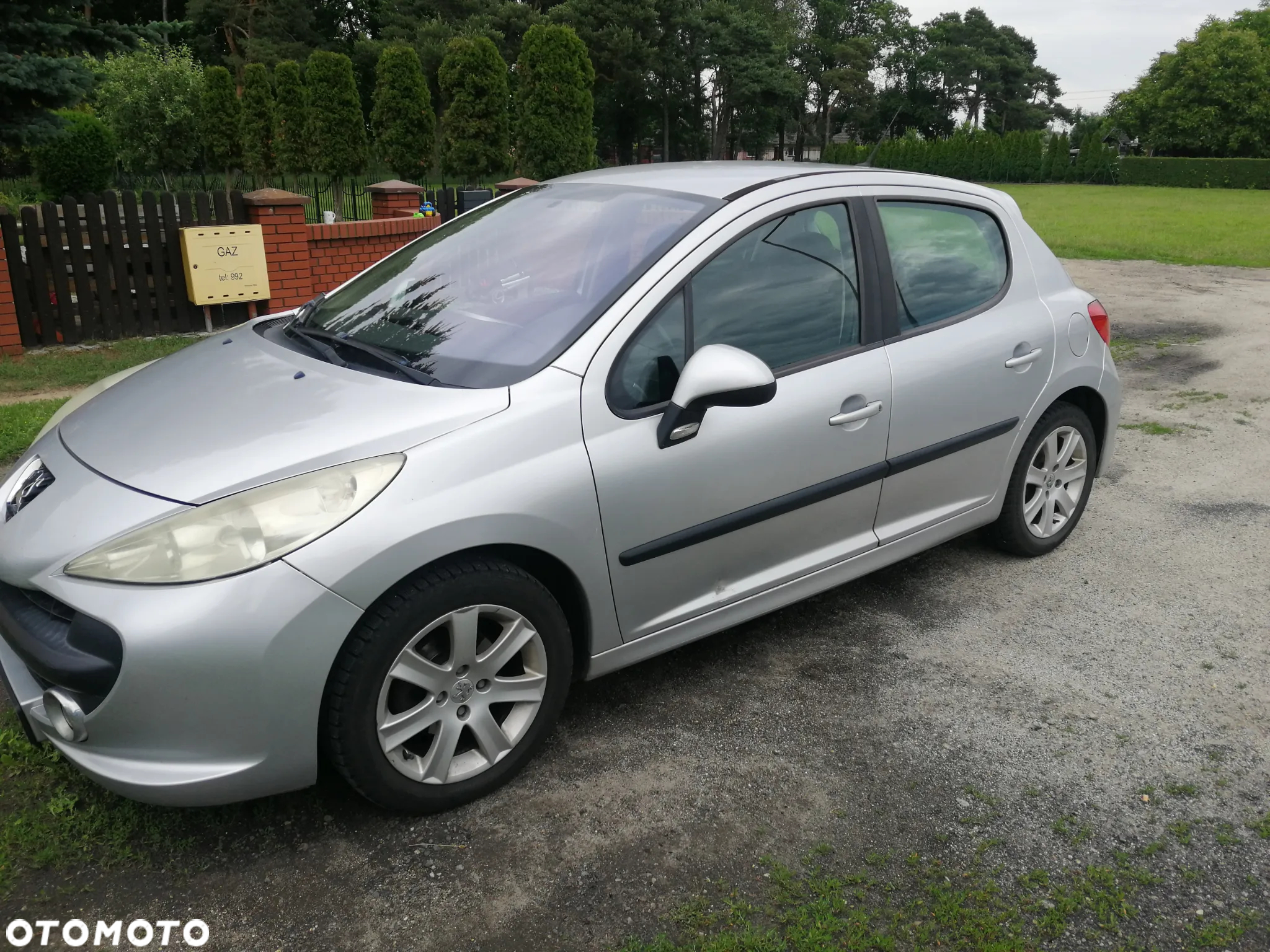 Peugeot 207 - 3