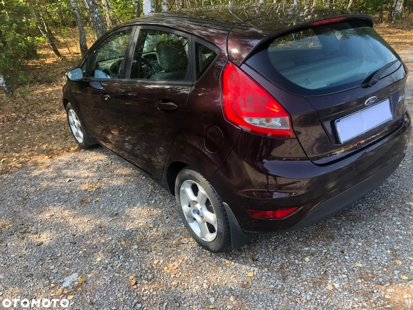 Ford Fiesta 1.25 Gold X EU5 - 8