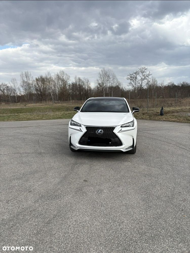Lexus NX 300h F Sport AWD - 10