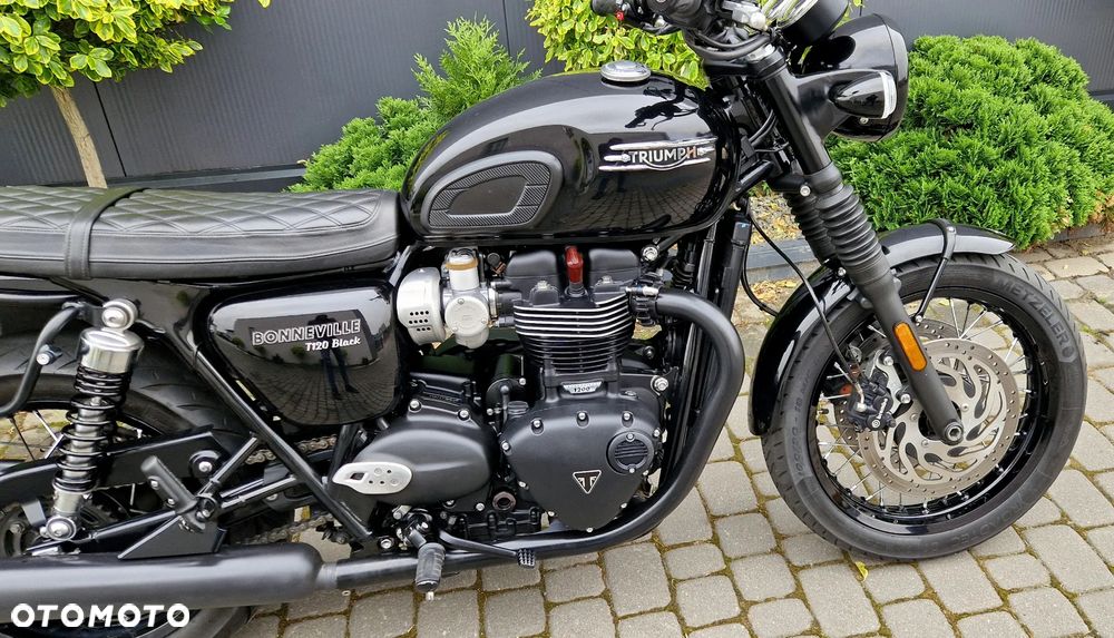 Triumph Bonneville - 14