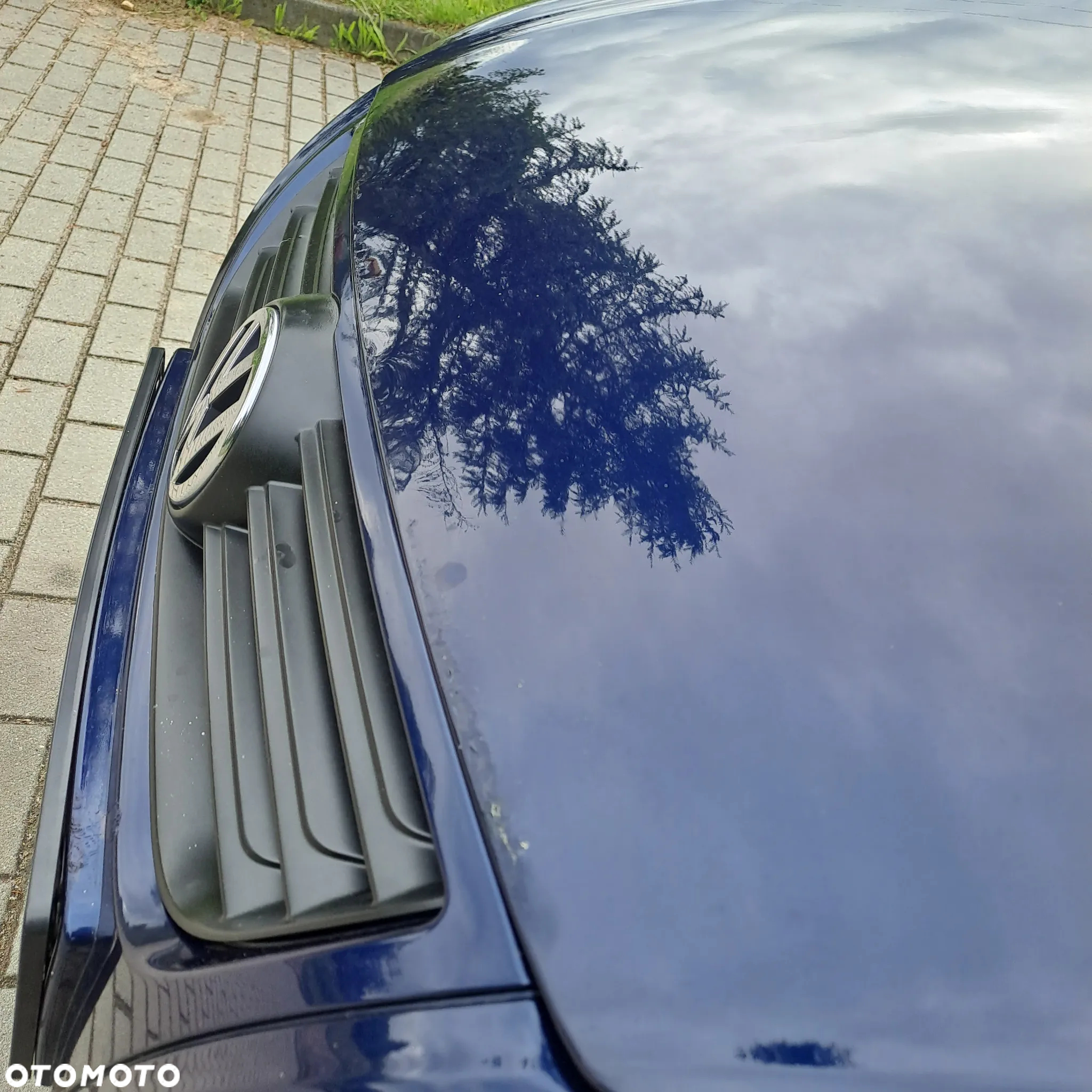 Volkswagen Polo - 14