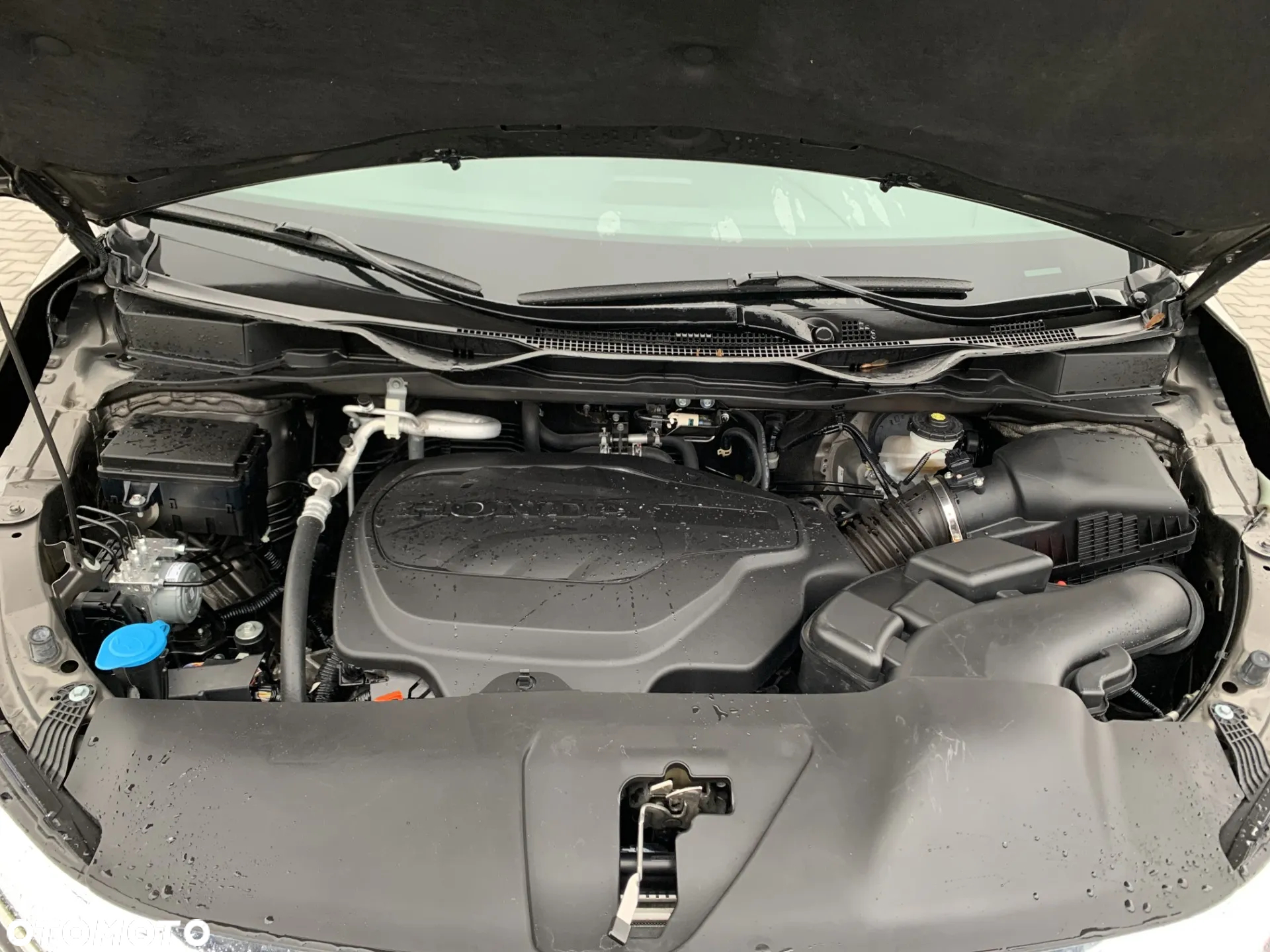 Honda Odyssey - 19
