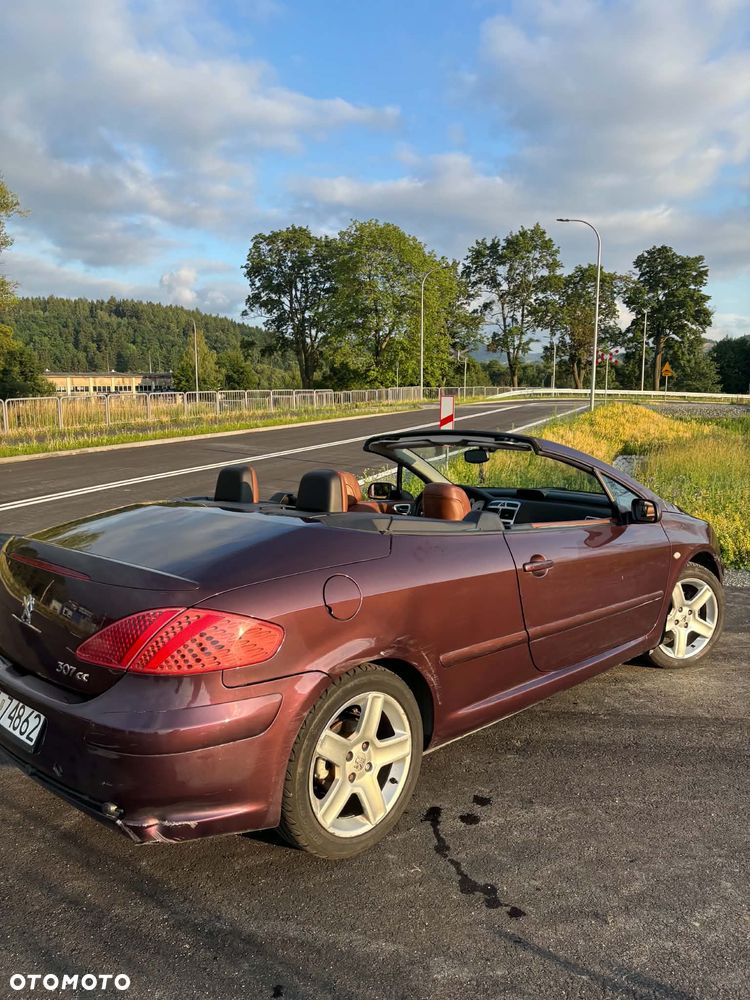 Peugeot 307 CC 2.0 - 5