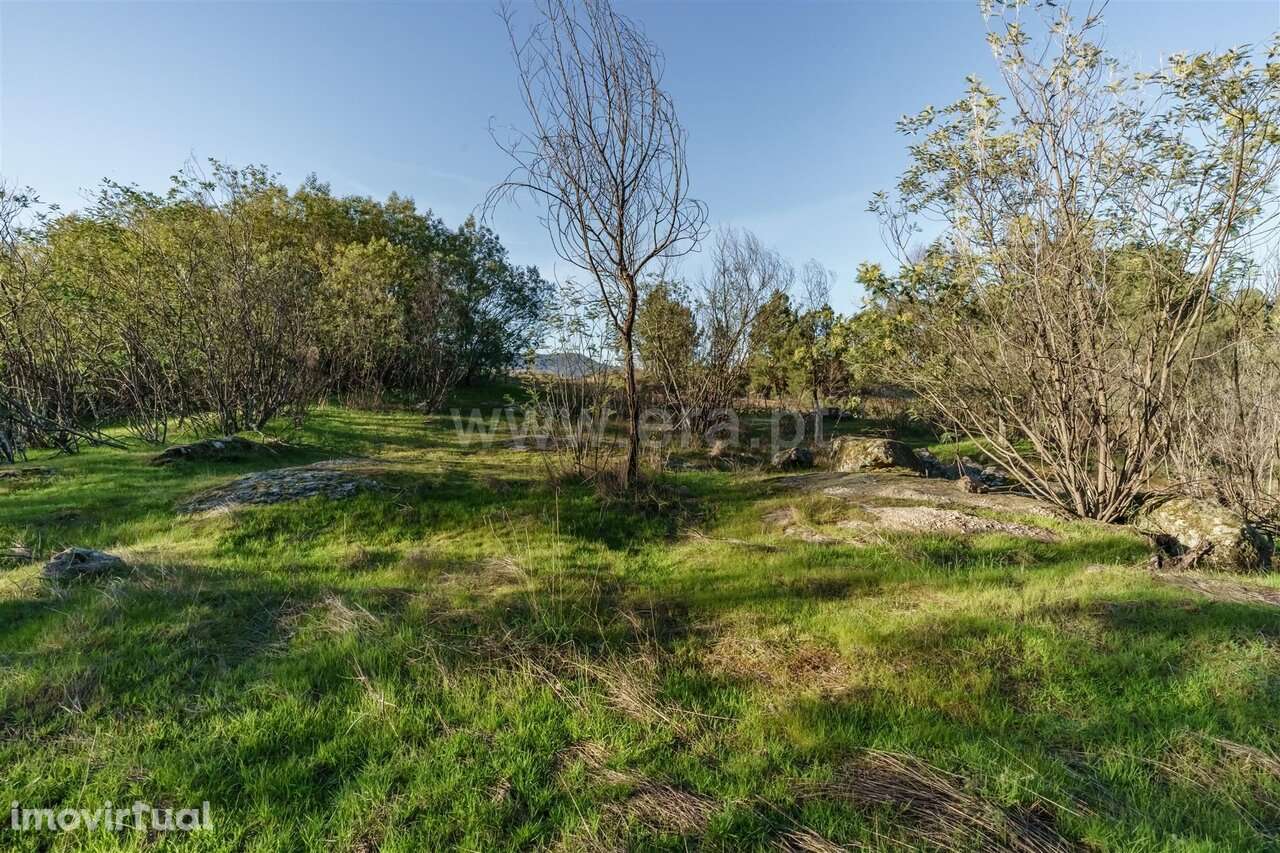 Quinta Estúdio / Covilhã, Orjais - Grande imagem: 3/20