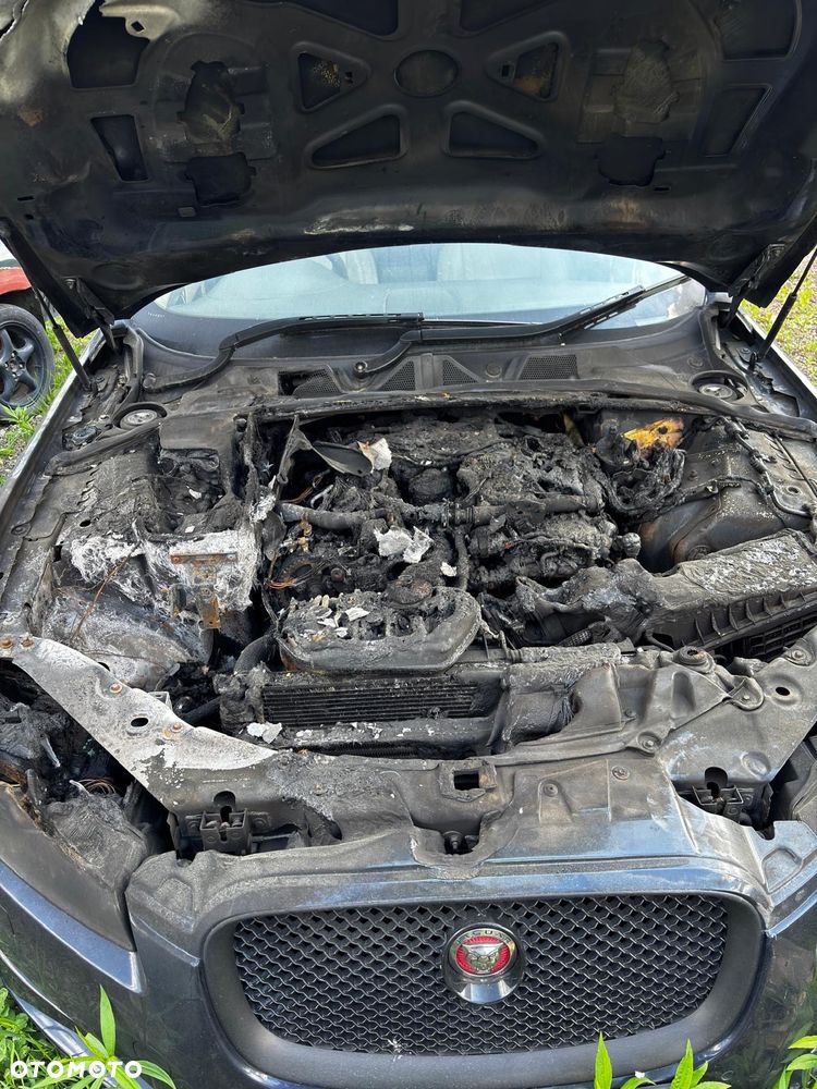 Jaguar XF 3.0 V6 D Premium Luxury - 5