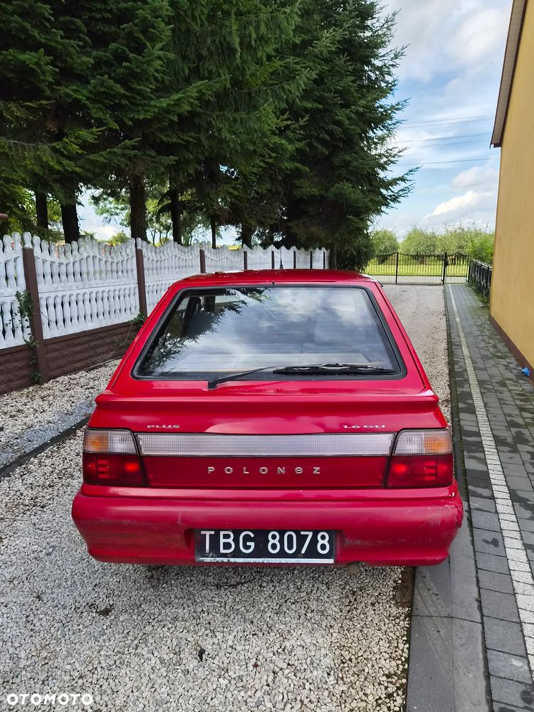 Polonez Caro - 3