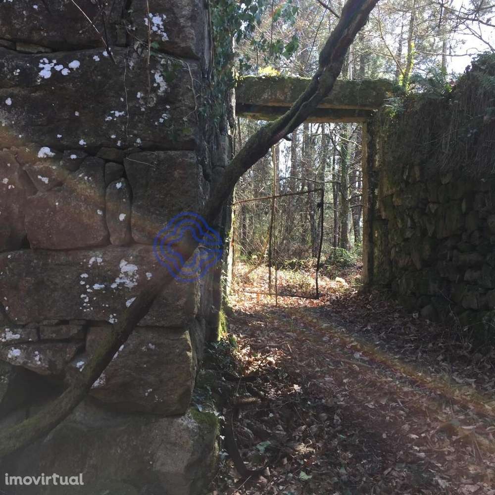 Moradia Viana do Castelo - Grande imagem: 2/17