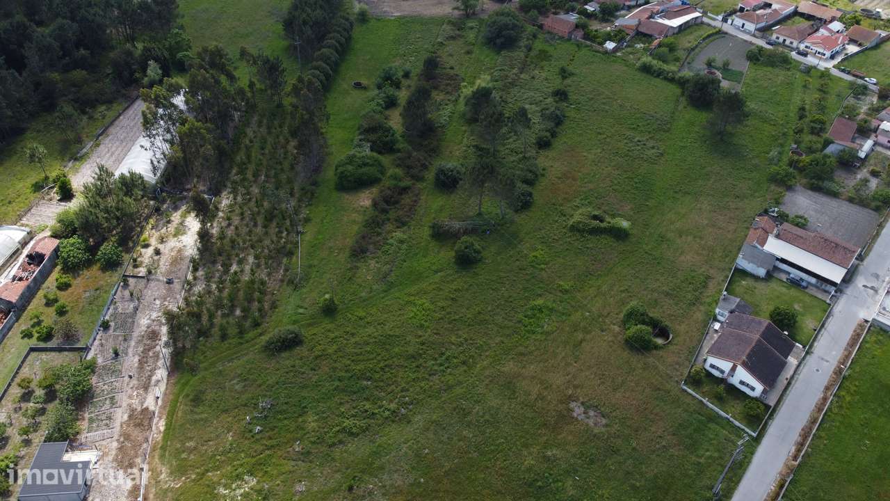 Terreno Rústico de 7000m² na Bairrada - Grande imagem: 4/8
