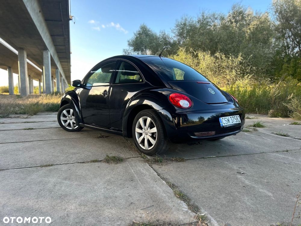 Volkswagen Beetle - 3