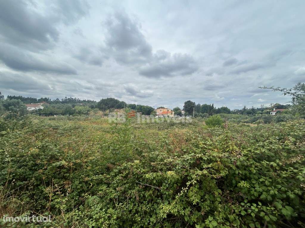 Terreno Agrícola em Chão das Maias - Tomar - Grande imagem: 4/16