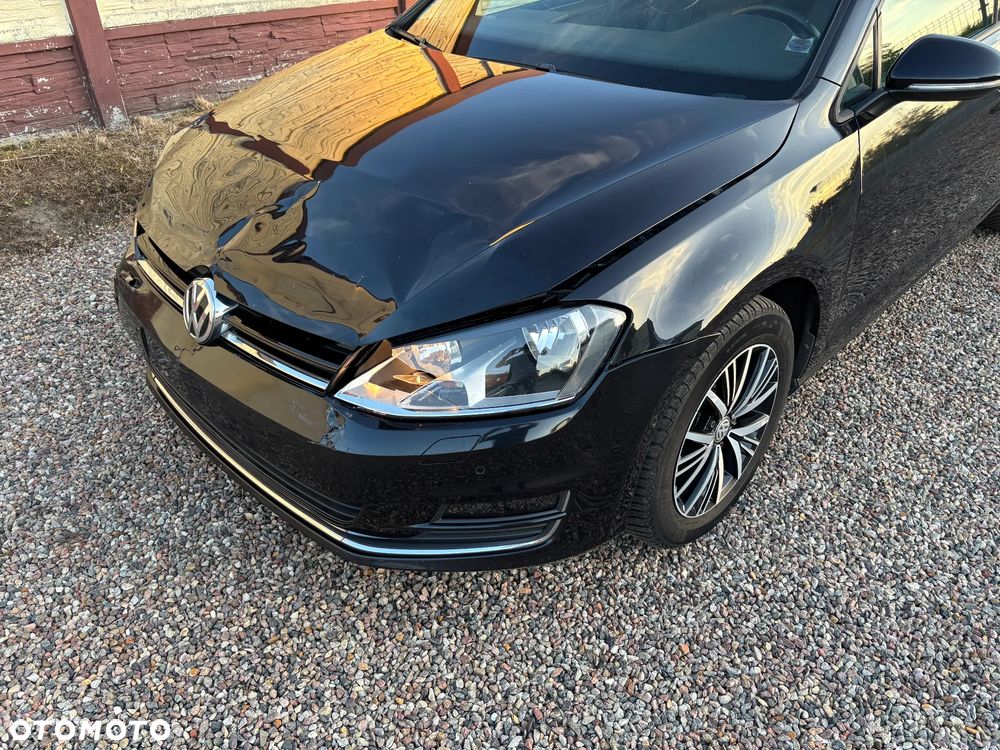 Volkswagen Golf 1.6 TDI BlueMotion Technology Allstar - 19