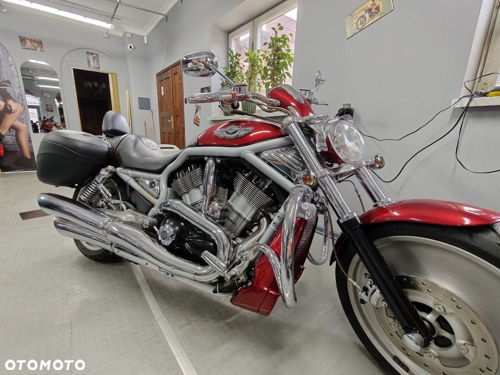 Harley-Davidson Softail V-Rod - 5